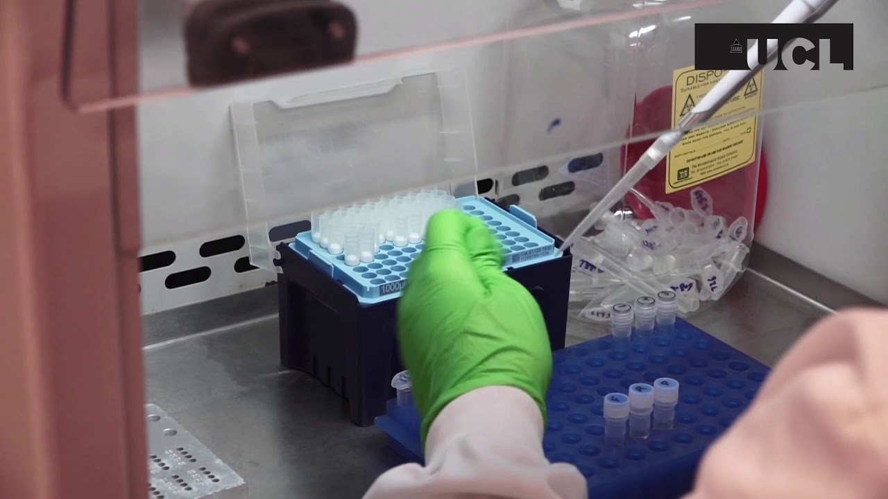 RT-qPCR pour diagnostiquer COVID-19 (ancien 2019-nCoV) - sous-titres français