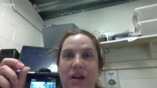 Celebrity Donna Lynne Champlin ('Crazy Ex-Girlfriend') chats with Gold Derby about playing fan favorite Paula Net Worth