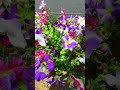 Transform Your Home with UV Resistant Artificial Flowers 🌸 | Indoor &amp; Outdoor Decor Tips #Gardening