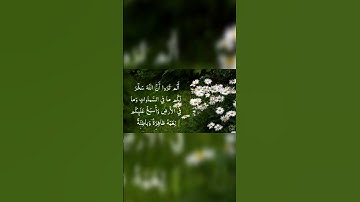 ما تيسر من سورة لقمان🍃 #المصحف #اكسبلور #لايك