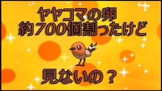 ポケモンoras 色違いヤヤコマ 卵700個国際孵化で色違い良個体厳選 Shiny Pokemon Fletchling オタgames Youtube