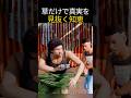 【解説】アフリカ式!嘘発見器