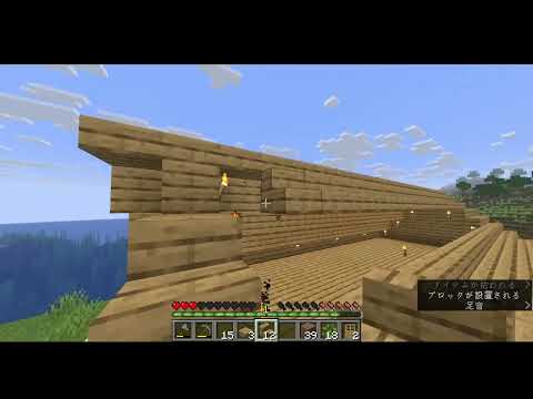 family minecraft 2 「マイクラ」家完成‼