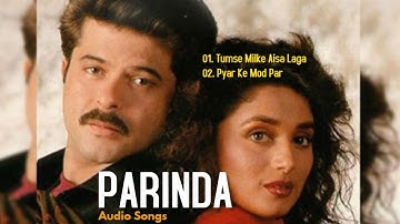 Tumse Milke - Parinda | R. D. Burman | Asha Bhosle & Suresh Wadkar | Anil Kapoor, Madhuri