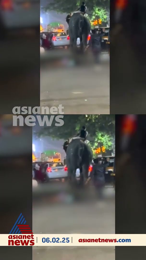 പാലക്കാട് കൂറ്റനാട്  ഇടഞ്ഞ ആന പാപ്പാനെ കുത്തിക്കൊന്നു