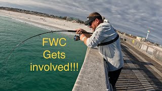 FWC GETS INVOLVED WHILE PIER FISHING PENSACOLA, FLORIDA!!!