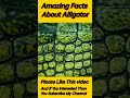 Facts About Alligator...#shorts ..#alligator....#shortsvideo
