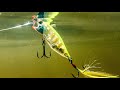 Lure Fishing Made Simple: How to use the Realis Popper 64