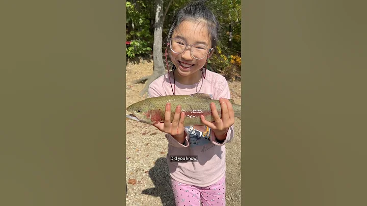 Why the Government Releases Fish into your Lakes