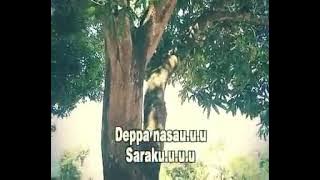 Sara natodongi peddi cip.Agoes Ob