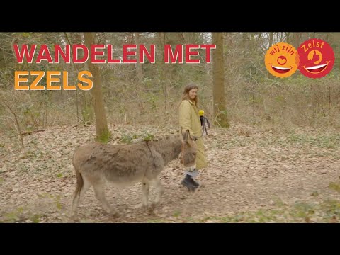 Verborgen Parels: Ezelwandeling