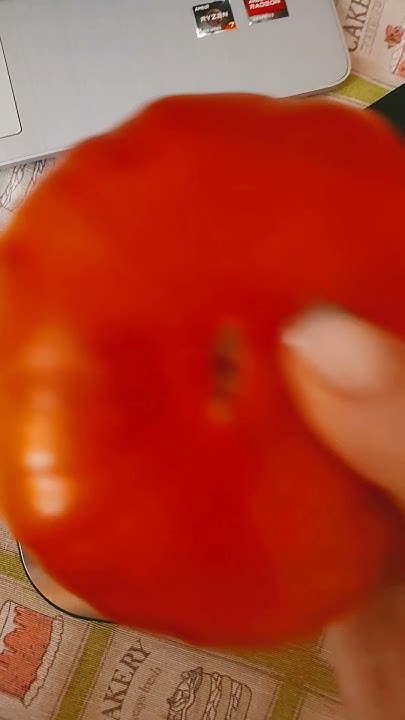 SIGNOR POMODORO & СЕНЬЙОР ПОМІДОР # #италия #dana #овощи #огород # # ...