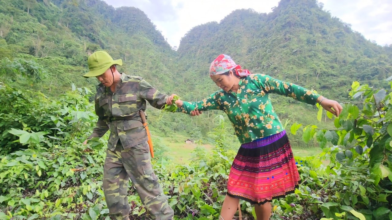 The girl uprooted rice seedlings to plant rice, picked vegetables and ...