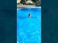 ماريتا تعليم السباحة للأطفال أغاني أطفال بيبي 