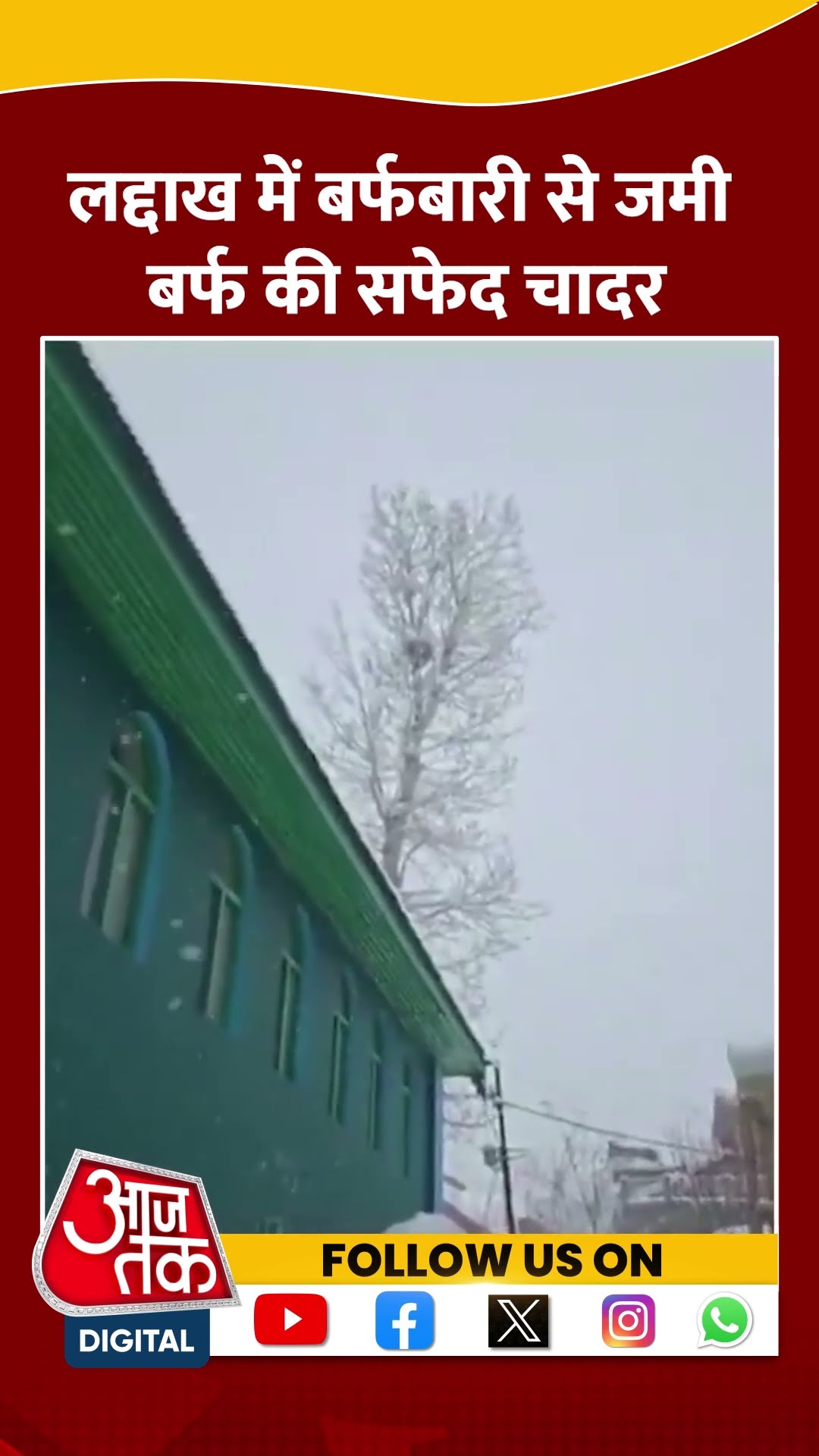 Ladakh में Snowfall से जमी बर्फ की सफेद चादर #shorts #viral #shortvideo #ladakh #snowfall