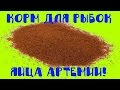 Яйца Артемии для аквариумных рыбок из Китая с Алиэкспресс! [#Яйца Артемии]