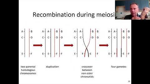 Linkage Mapping Part 1 - Dave Curtis