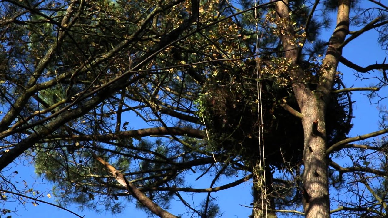 NotreDamedesLandes NDDL "Notre Dame des Luttes !", un