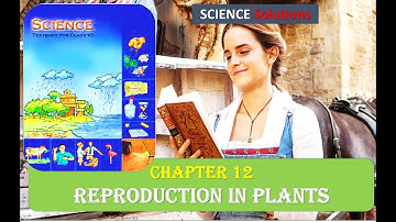 Reproduction in Plants CLASS 7 SCIENCE NCERT SOLUTIONS CHAPTER 12