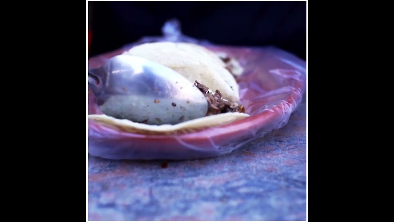 Bienvenidos a Stoned Monkey