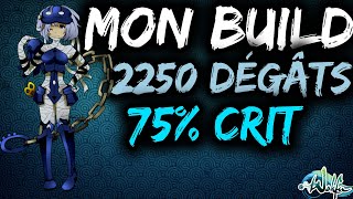 PRESENTATION DU BUILD ULTIME DU XELOR SUR WAKFU ! (Niv. 110 spé Dps)