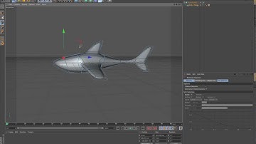 Cinema 4D: organic modelling using hypernurbs