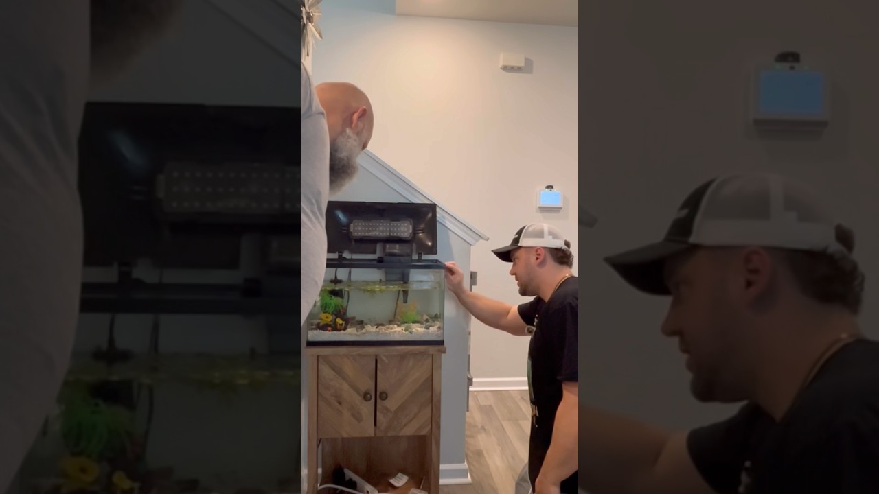 Простое руководство по замене 10 галлонов воды для начинающих! 