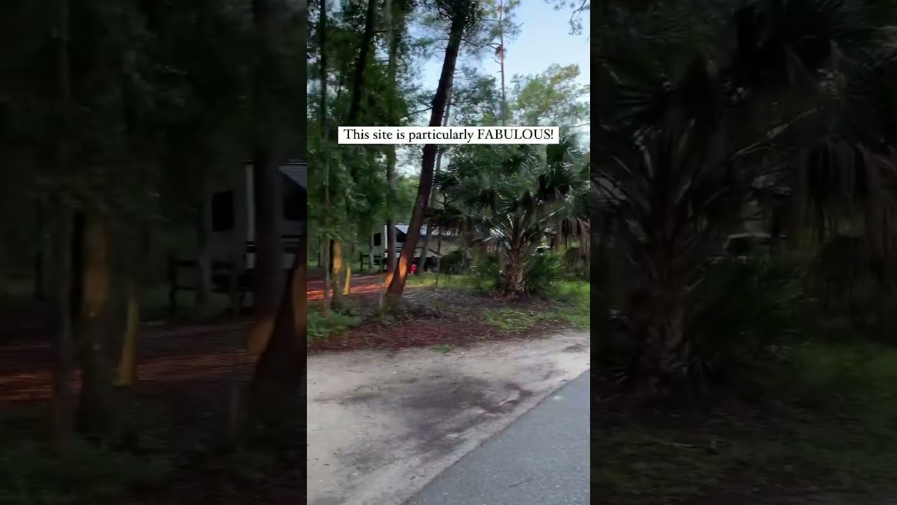 Wekiwa Springs State Park Campground Review