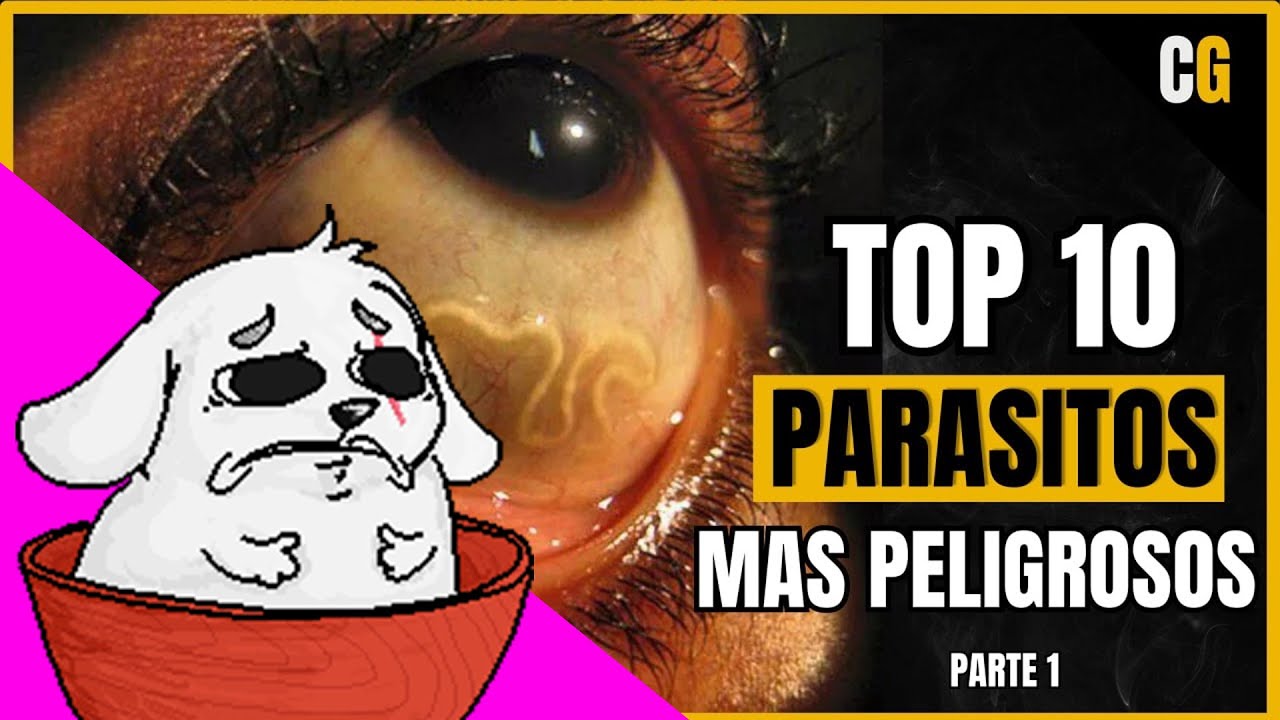 Huntleo reacciona a "Los 10 PARASITOS más PELIGROSOS - Explicados por un Médico - PARTE 1"