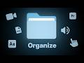 How I Organize EVERY After Effects & Premiere Pro Project