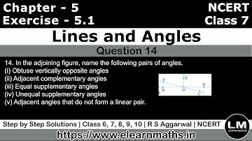 Lines and Angles | Class 7 Exercise 5.1 Question 14 | NCERT | Learn Maths
