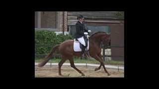 SOLD: DORETTE S (San remo x Rousseau)