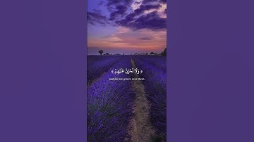 وَٱخۡفِضۡ جَنَاحَكَ لِلۡمُؤۡمِنِينَ | آية من سورة الحجر بصوت القارئ هزاع البلوشي | راحة نفسية