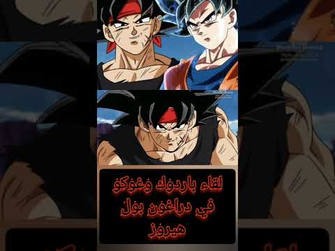 لقاء باردوك وغوكو في دراغون بول هيروز     