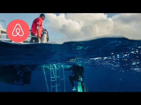 Bahamas Sabbatical | Only On Airbnb