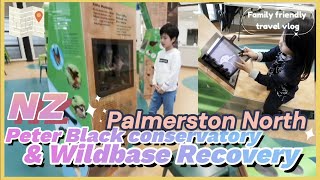 Things to do in Palmerston North, New Zealand Peter Black conservatory | 뉴질랜드 북섬 여행 파머스턴노스 가볼만한 곳