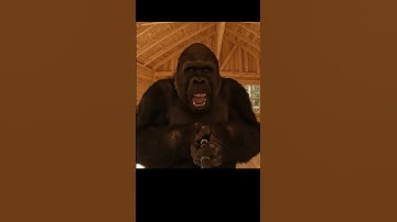 Gorilla Builds A Cabin PART 2 #ai #veo3 #bigfootvlog  #funny #comedy #shorts #fyp #vlog