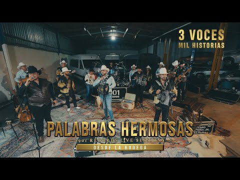 Palabras Hermosas - 3 VOCES MIL HISTORIAS