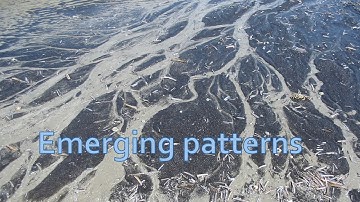 Complexity episode 002 Emergent patterns