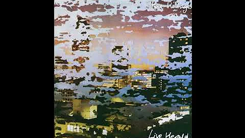 Steve hillage live herald