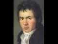 Ludwig van beethoven  symphony no 9 choral finale