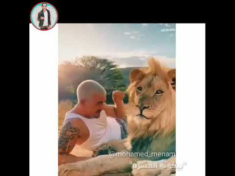 حالات واتس بيخونو العشره وعلي الخاين يدعو امين