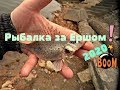 Рыбалка за ершом на Суре- Ёрш на червя-Ёрш на спиннинг