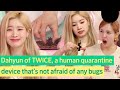 Tell twice who catches bugs better than dahyun to come out twice
