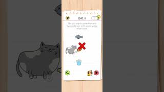 brain test all star level 11 solution