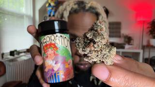 Platinum Lantz | Inspiration Seeds!