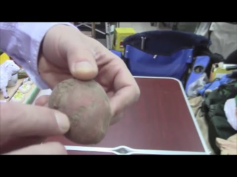 Video: Grubuļains Kartupeļu Kraupis