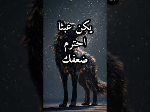 أربع خطوات لتعيد بناء نفسك من الصفر اقتباسات حكمة اليوم كلام من ذهب دروس الزمان