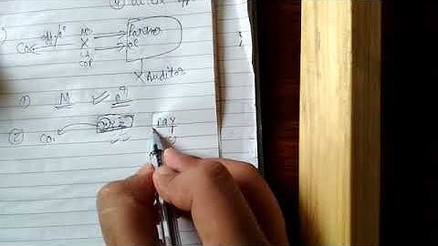 Company audit 1.. Qualification & disqualification of an auditor revision.. sec 141(1)(2)(3)(4),144