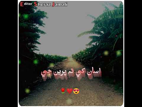 Sad Sindhi Poetry Tiktok Poetry 2lines Sad Shayari Poetry Whatsapp Status Sindhi Shayari